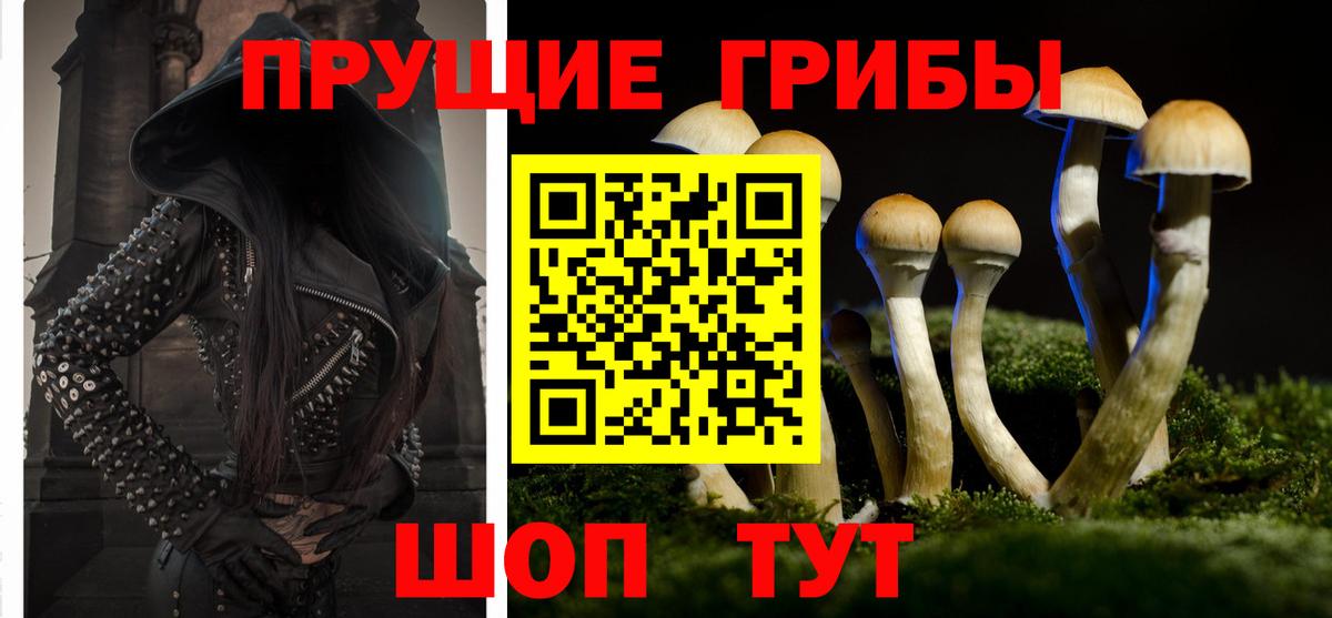 Псилоцибиновые грибы Cubensis  Вход с VPN  Кузнецк  Галлюциногенные грибы Magic Shrooms 